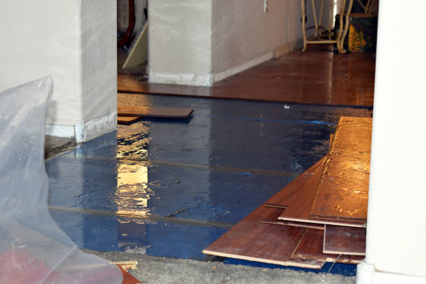 Professional Sewage Cleanup technician working in Drake, CO